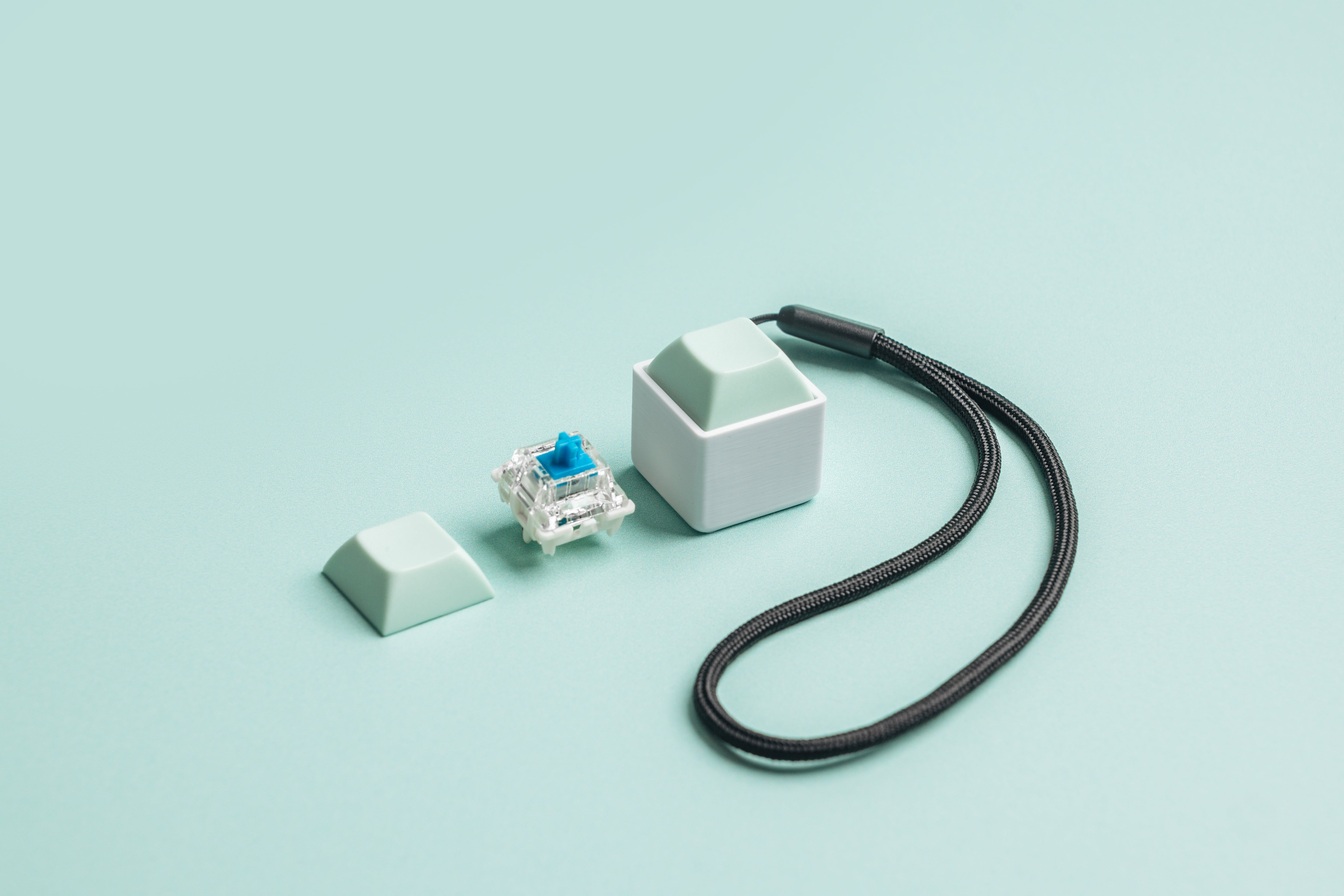 1 Key Mechanical Keyboard Fidget